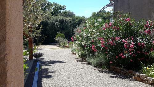 Bed & Breakfast L'abrialys
