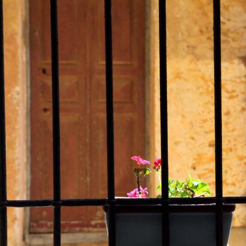Bed & Breakfast Latu Corsu - Cote Corse Chambres D'h�tes