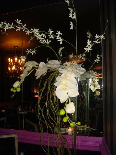 Hostal L'hedoniste