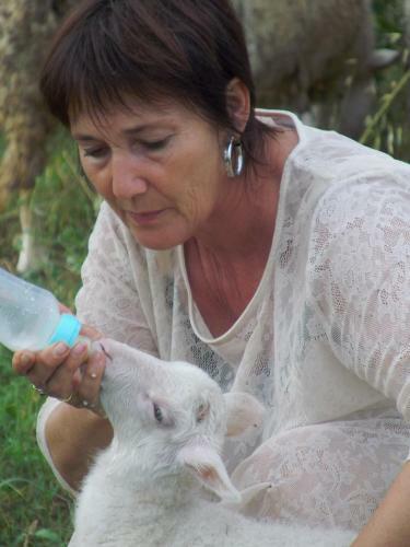 Agroturismo Chambres D'h�te Les Jardins De Prasserat