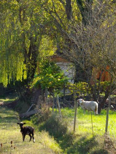 Agroturismo Chambres D'h�te Les Jardins De Prasserat