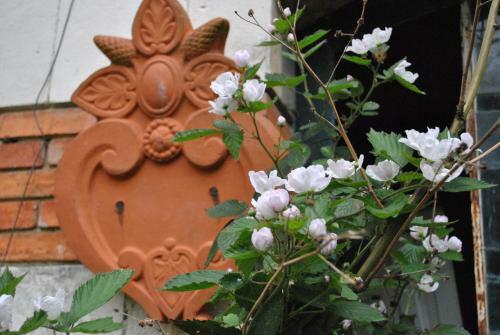 Bed & Breakfast Le Ragois