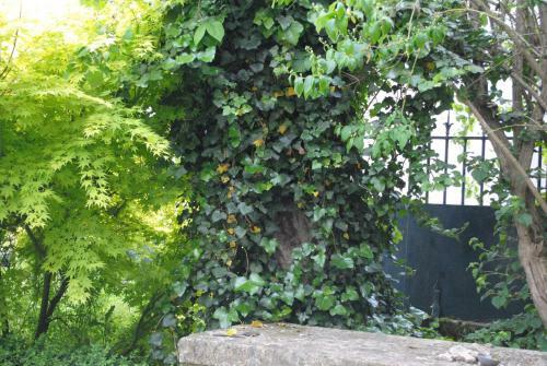 Bed & Breakfast Le Ragois