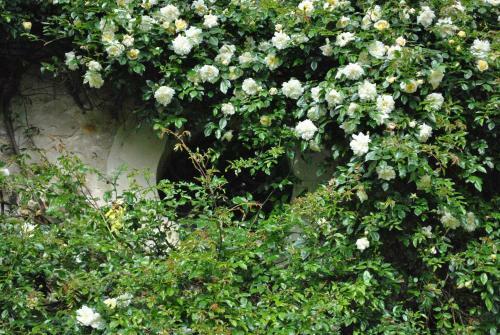 Bed & Breakfast Le Ragois
