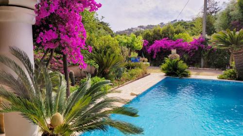 Villa Saray