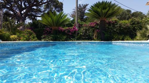Villa Saray