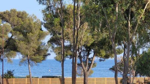 Villa Saray