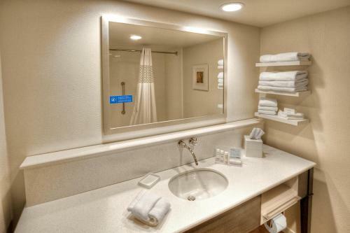 Hotel Hampton Inn And Suites Asheville-i-26
