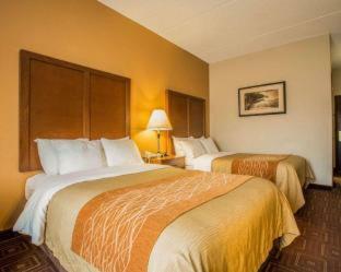 Hotel Comfort Inn Asheville Airport