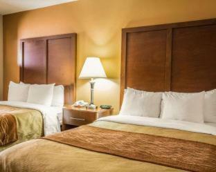 Hotel Comfort Inn Asheville Airport