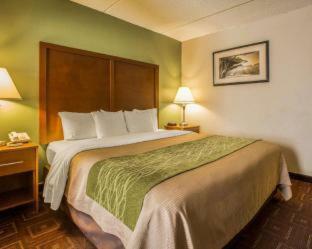 Hotel Comfort Inn Asheville Airport