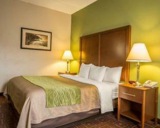 Hotel Comfort Inn Asheville Airport