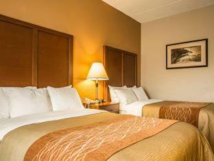 Hotel Comfort Inn Asheville Airport