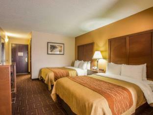 Hotel Comfort Inn Asheville Airport