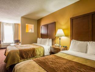 Hotel Comfort Inn Asheville Airport