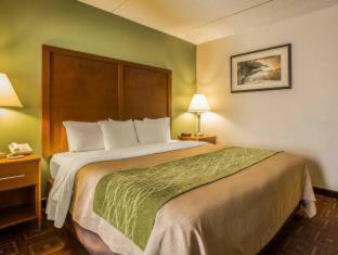 Hotel Comfort Inn Asheville Airport