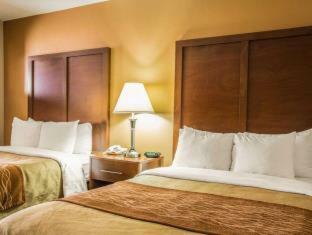 Hotel Comfort Inn Asheville Airport