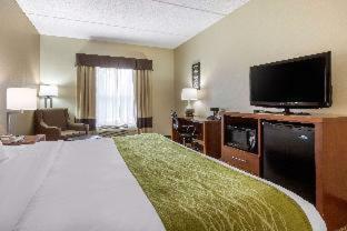 Hotel Comfort Inn Asheville Airport