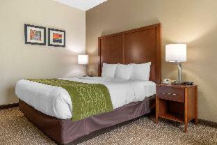 Hotel Comfort Inn Asheville Airport