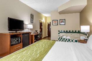 Hotel Comfort Inn Asheville Airport