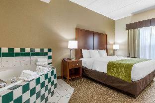 Hotel Comfort Inn Asheville Airport