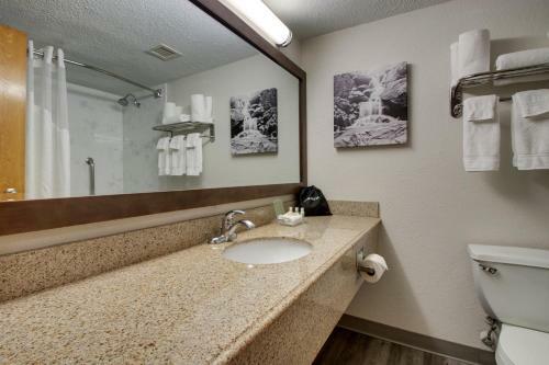 Hotel Holiday Inn Hopkinsville