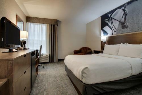 Hotel Holiday Inn Hopkinsville