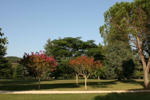 Apartamento Chateau Camp Del Saltre