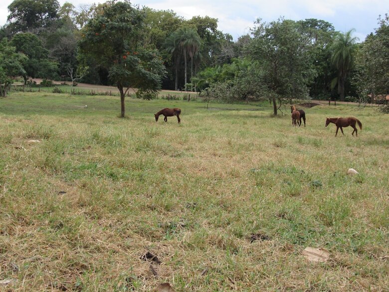 Agroturismo Fazenda Bela Vista