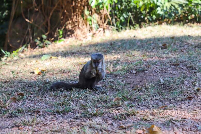Agroturismo Fazenda Bela Vista