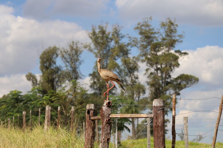 Agroturismo Fazenda Bela Vista