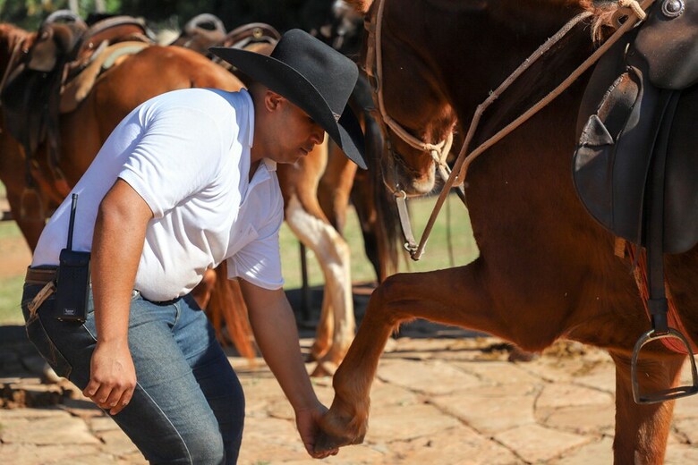 Agroturismo Fazenda Bela Vista