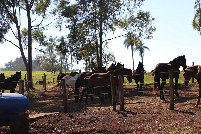 Agroturismo Fazenda Bela Vista
