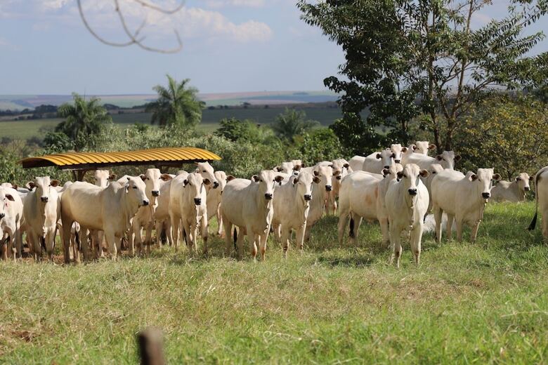 Agroturismo Fazenda Bela Vista