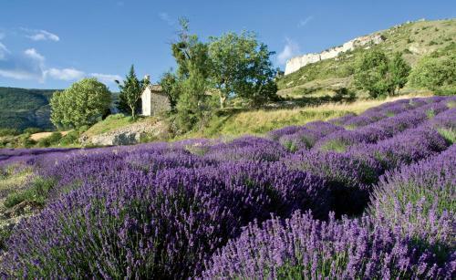 Bed & Breakfast Le Clos De L'ambre