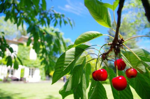 Hostal Chambres D'h�tes Domaine Du Hameau Baylesse