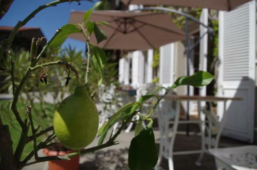 Hostal Chambres D'h�tes Domaine Du Hameau Baylesse