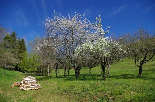 Hostal Chambres D'h�tes Domaine Du Hameau Baylesse