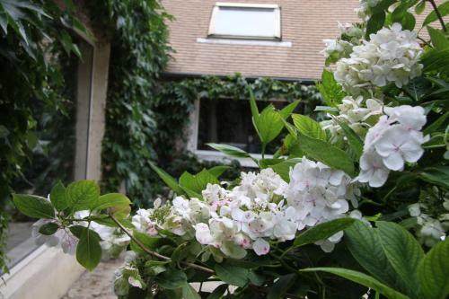 Bed & Breakfast L'hibernie