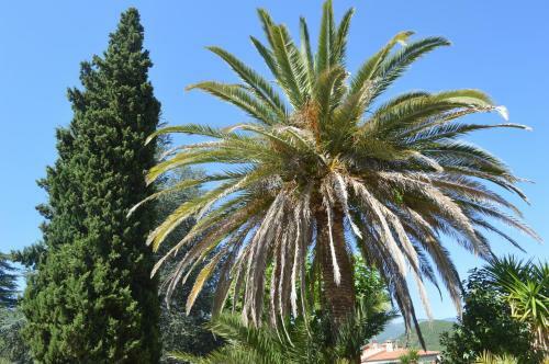 Bed & Breakfast Villa Lafabregue