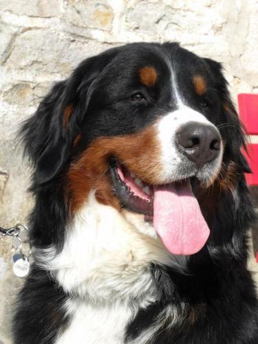 Hotel La Roche Du Marais