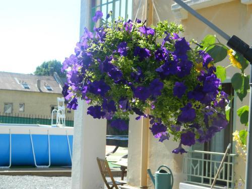 Hostal Chambre D'hotes La Mexicaine