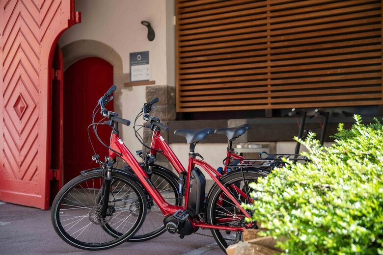Hotel H�tel Et Spa La Villa K - Basel Airport