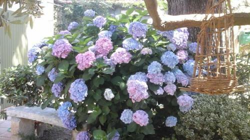 Bed & Breakfast Chambre D'h�tes Clos Saint Joseph