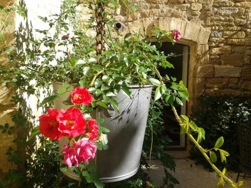Guesthouse De Cambis B&amp;b