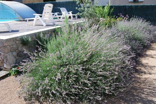 Hostal Les Terrasses De Castelmerle