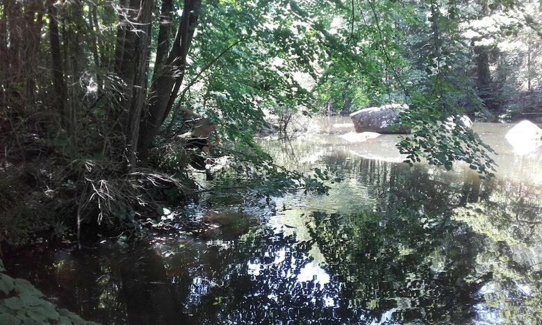 Moulin De Record