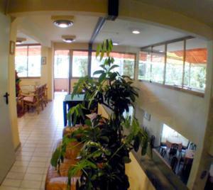 Hotel Le Ginestre