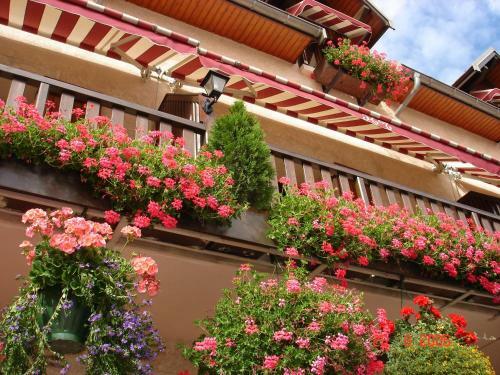 Hotel Du Tilleul