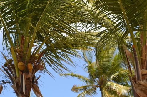 Hotel Best Western Carib Beach Resort